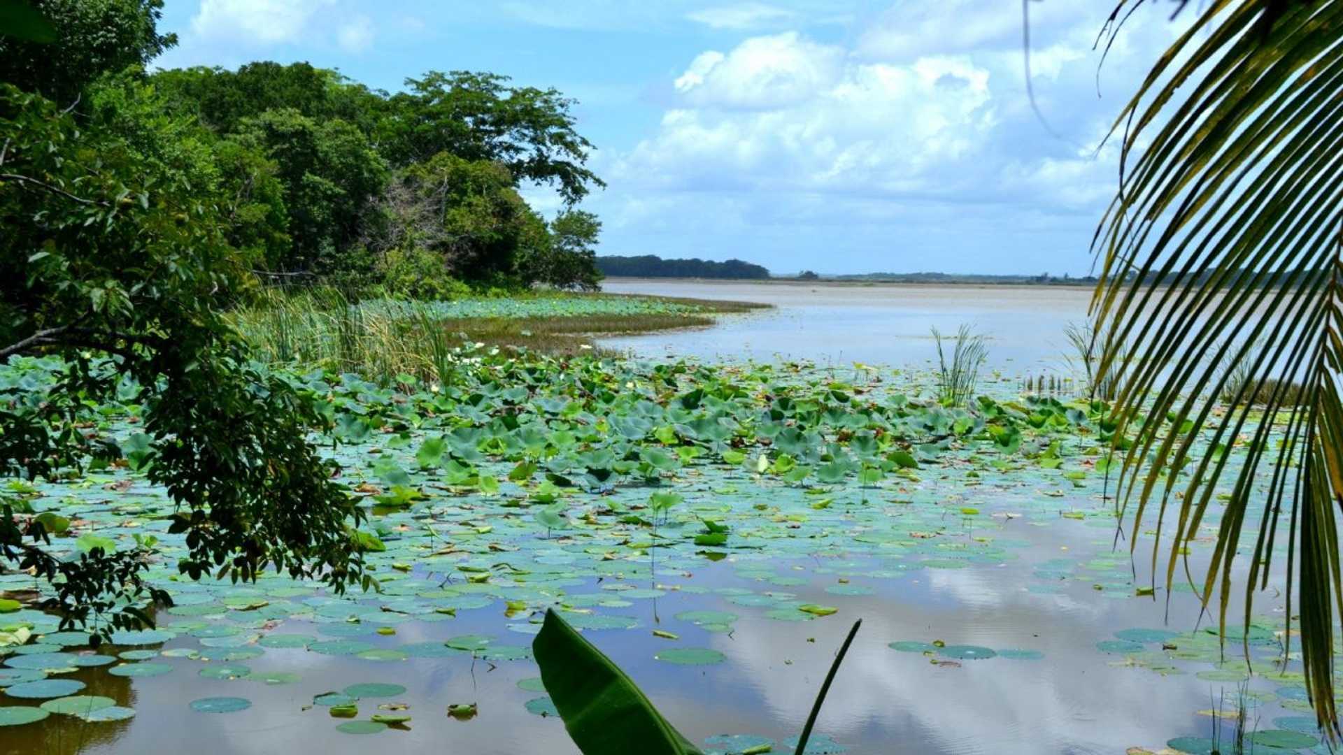 03 - LORES - Escárcega Campeche - La Laguna de Silvituc